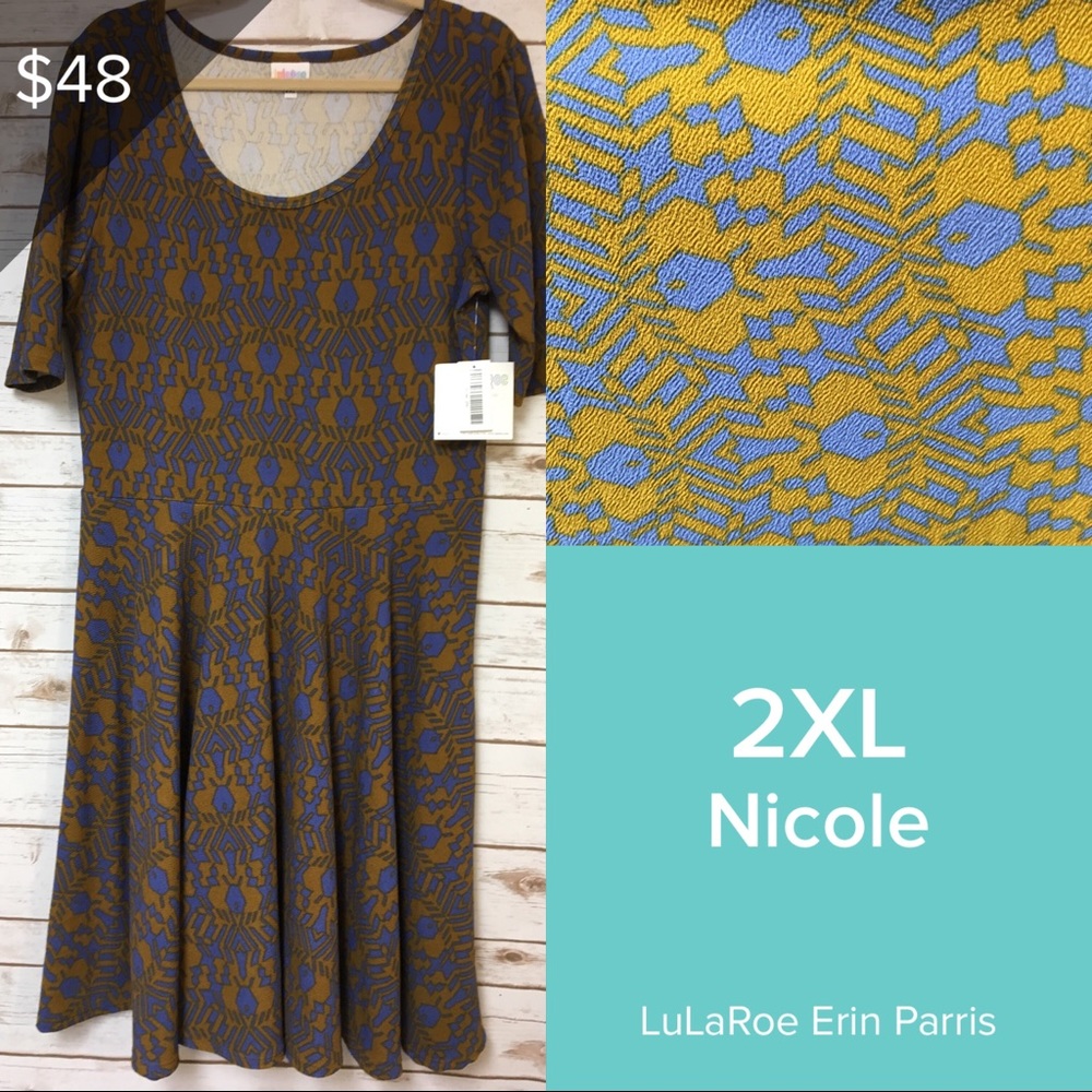 2XL LuLaRoe Nicole Dress